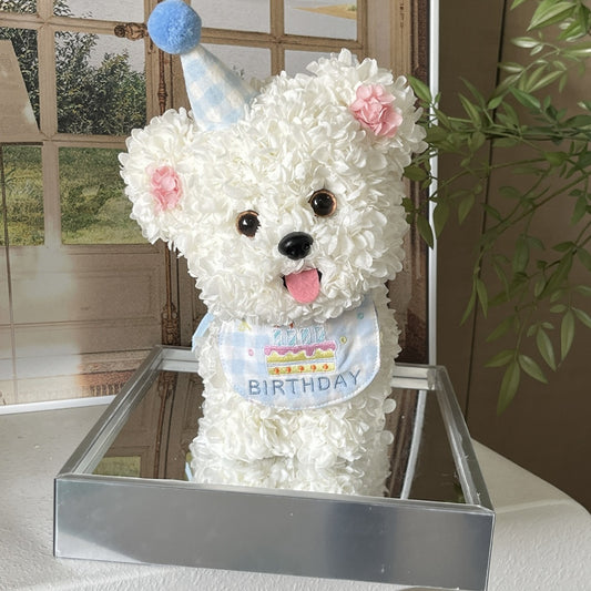 Maltese with Birthday Hat